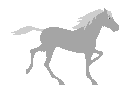 horse1.gif (2848 bytes)
